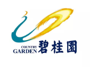 阜沙镇碧桂园地产